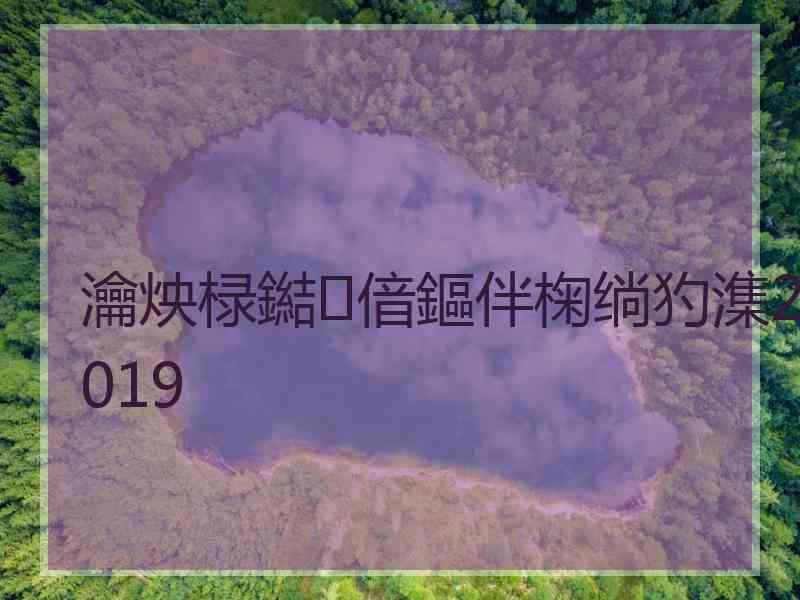 瀹炴椂鐑偣鏂伴椈绱犳潗2019