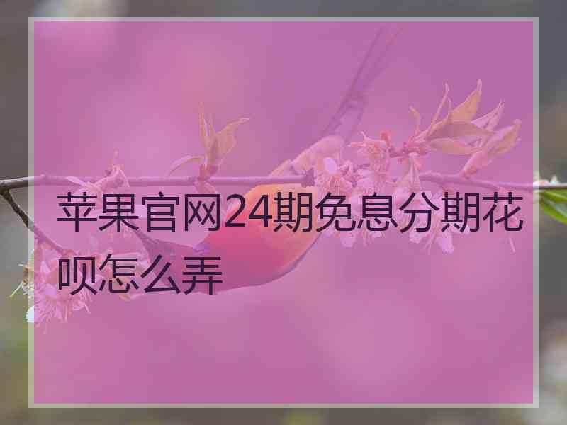 苹果官网24期免息分期花呗怎么弄