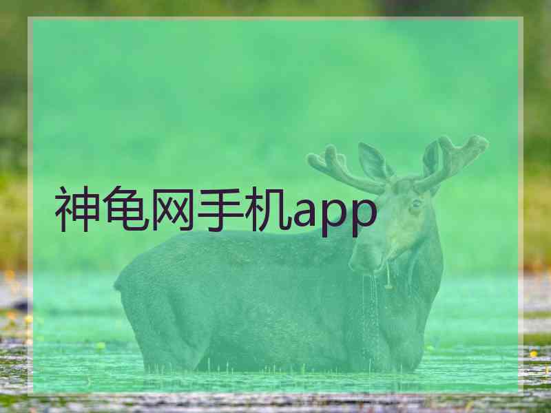 神龟网手机app