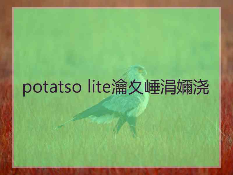 potatso lite瀹夊崜涓嬭浇