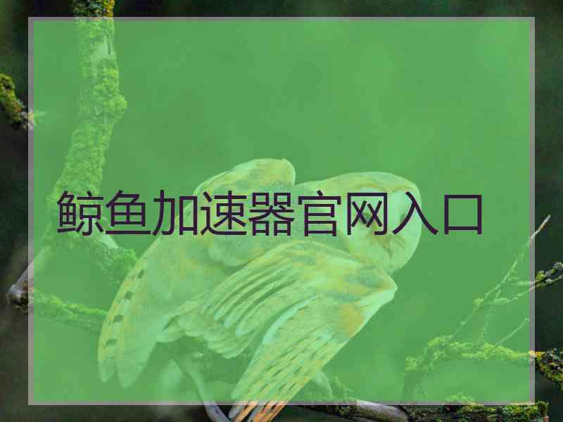 鲸鱼加速器官网入口