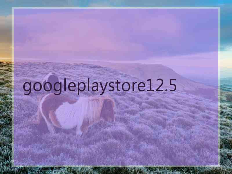 googleplaystore12.5