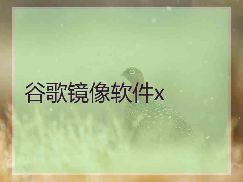 谷歌镜像软件x