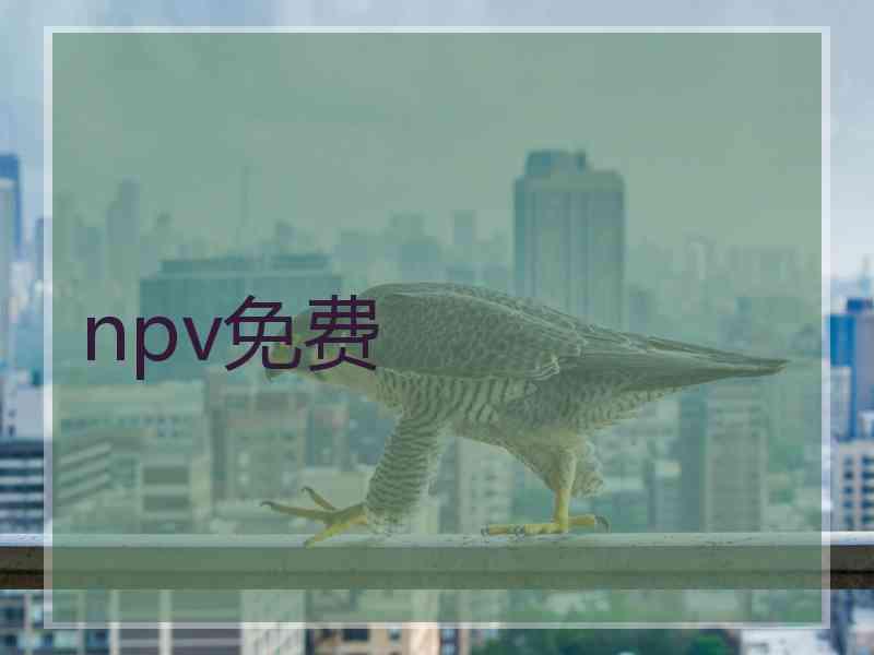 npv免费