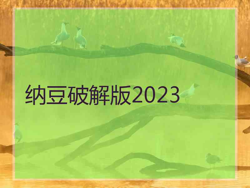 纳豆破解版2023