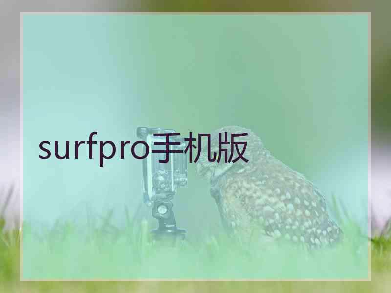 surfpro手机版