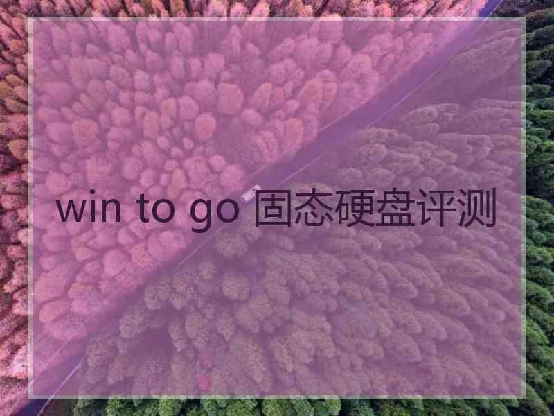 win to go 固态硬盘评测