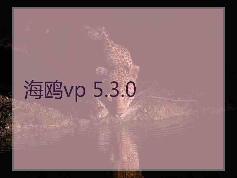 海鸥vp 5.3.0