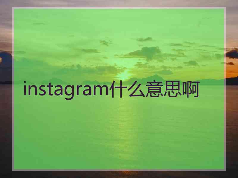 instagram什么意思啊