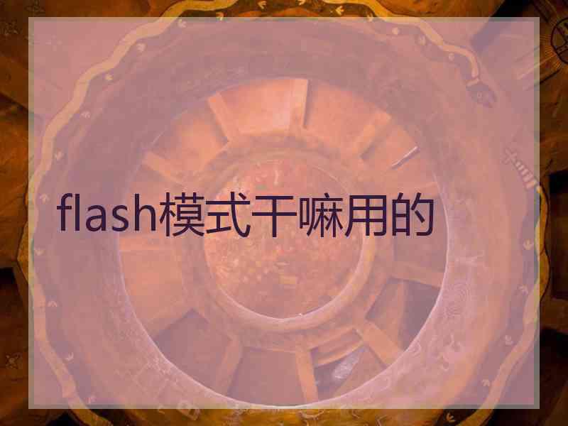 flash模式干嘛用的