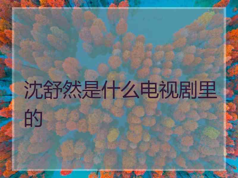 沈舒然是什么电视剧里的