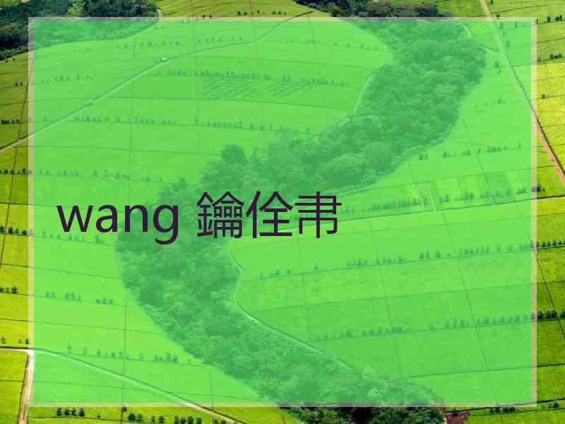 wang 鑰佺帇