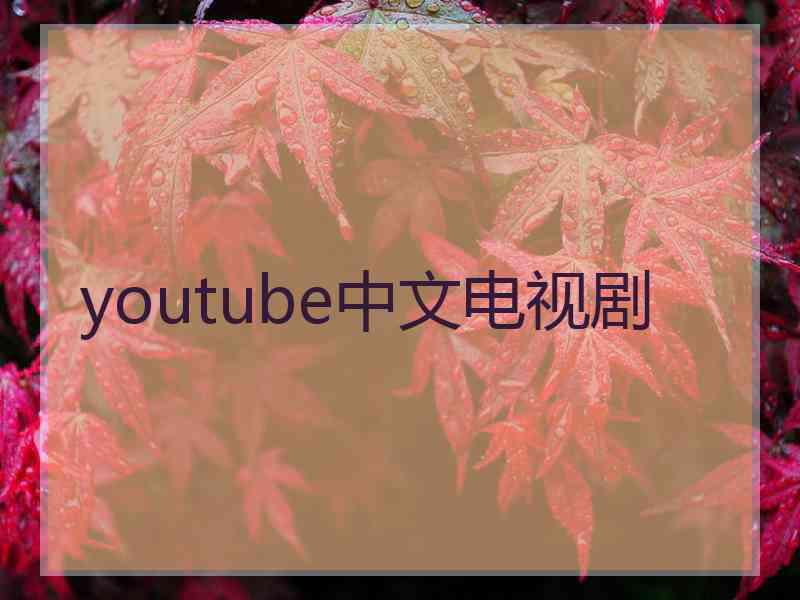 youtube中文电视剧