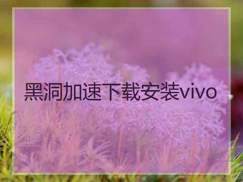 黑洞加速下载安装vivo