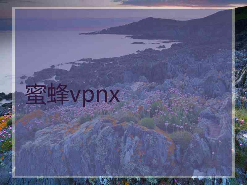 蜜蜂vpnx