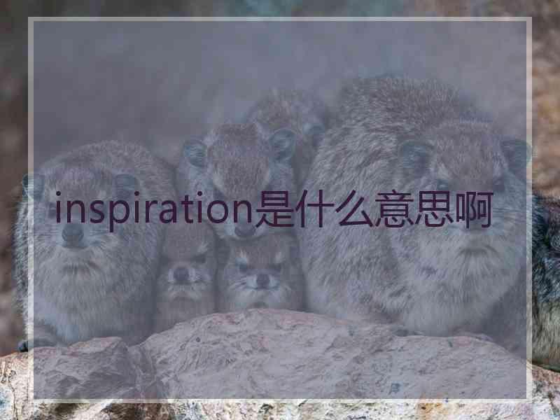 inspiration是什么意思啊