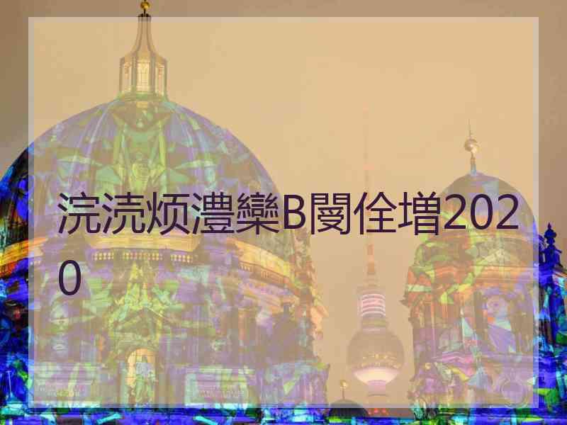 浣涜烦澧欒В閿佺増2020