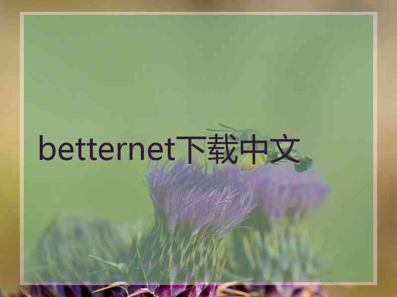 betternet下载中文