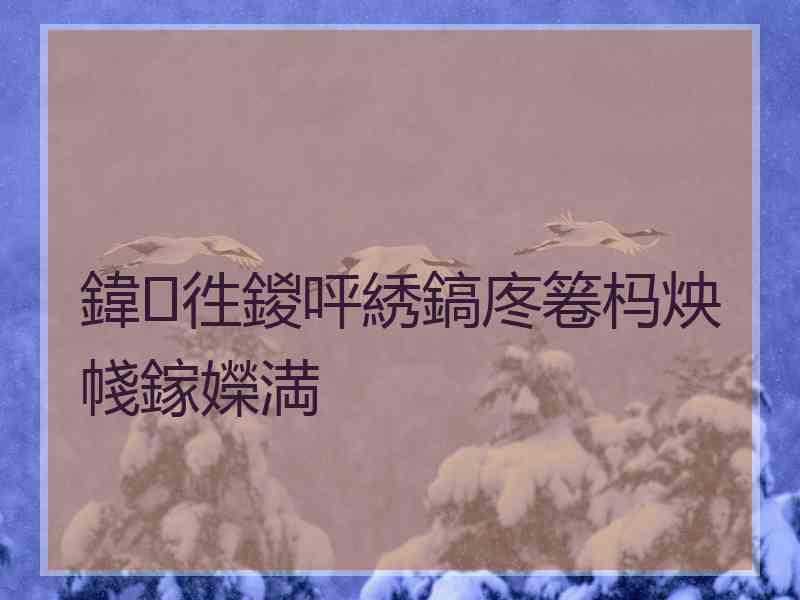 鍏徃鍐呯綉鎬庝箞杩炴帴鎵嬫満