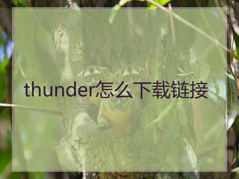 thunder怎么下载链接