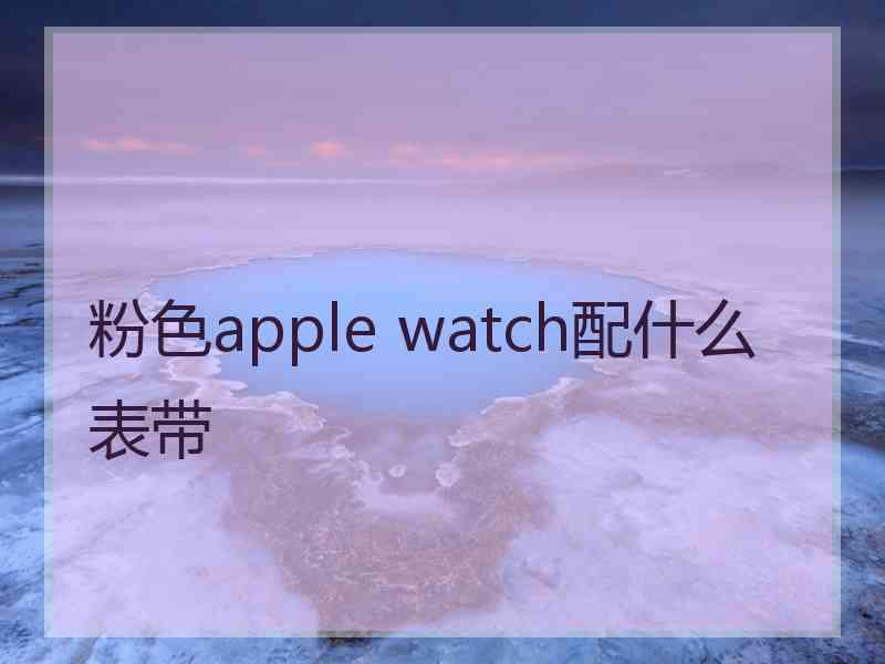 粉色apple watch配什么表带