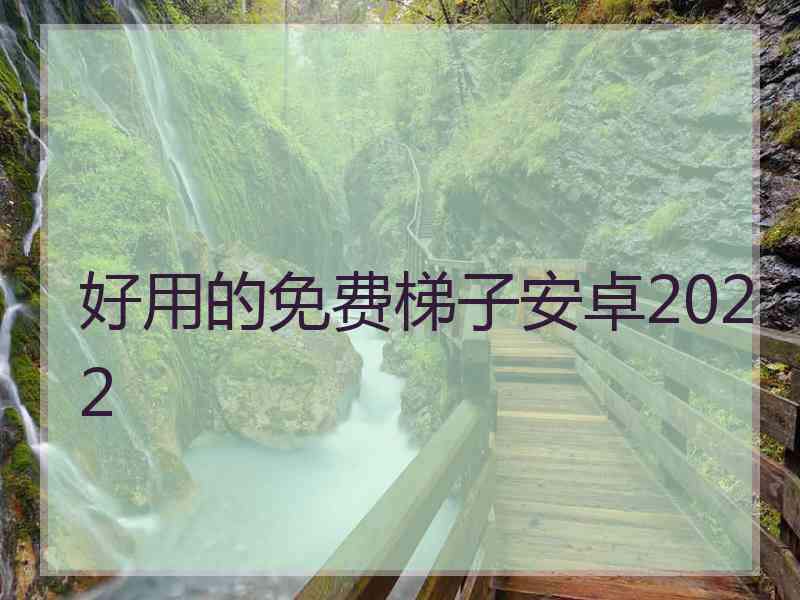 好用的免费梯子安卓2022