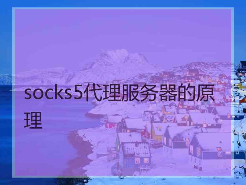 socks5代理服务器的原理