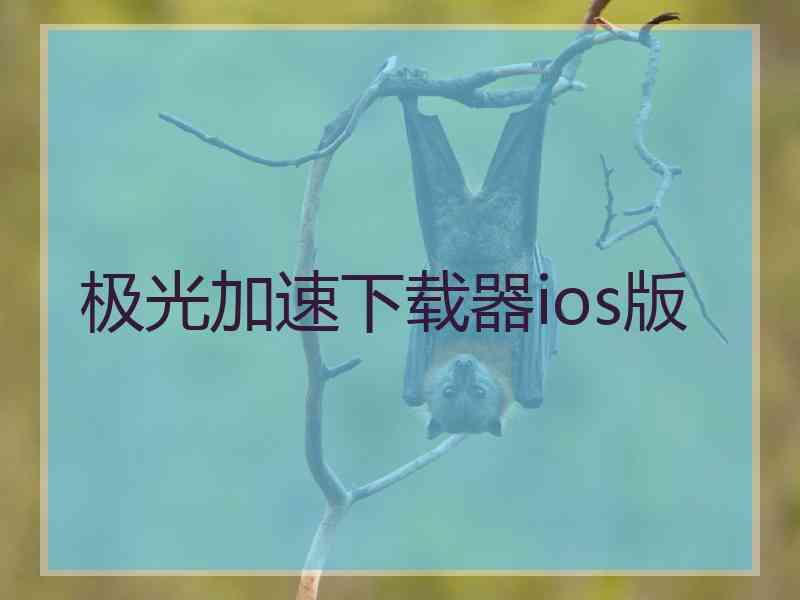 极光加速下载器ios版