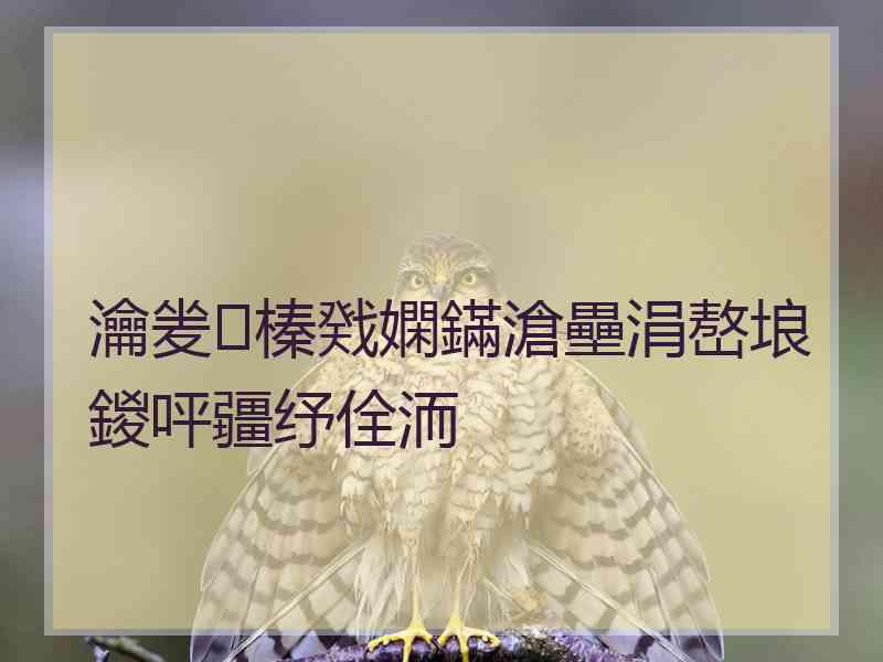 瀹夎榛戣嫻鏋滄壘涓嶅埌鍐呯疆纾佺洏