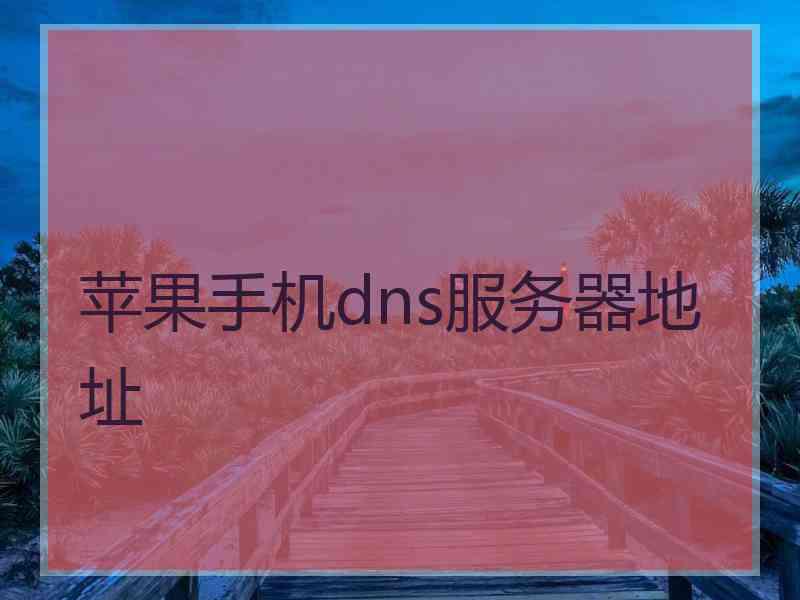 苹果手机dns服务器地址