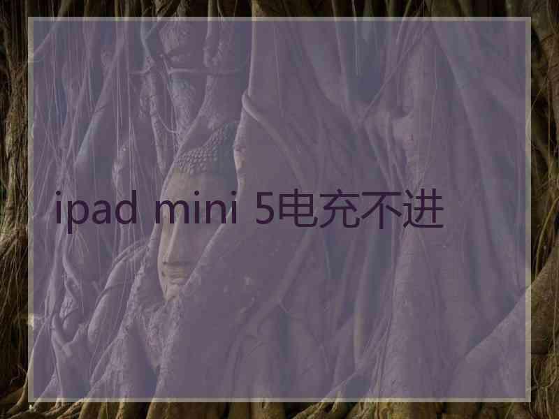 ipad mini 5电充不进