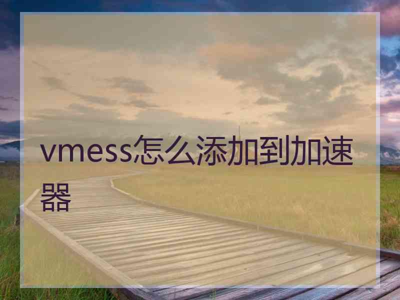 vmess怎么添加到加速器