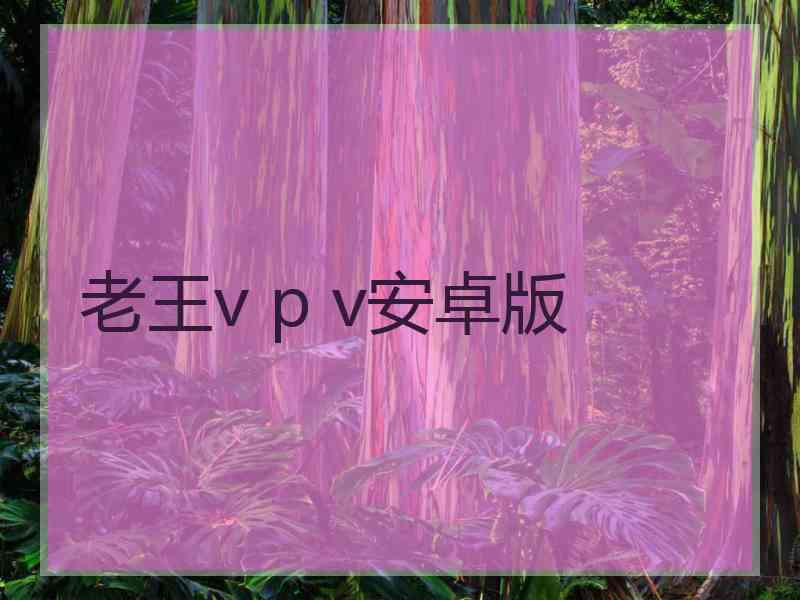 老王v p v安卓版