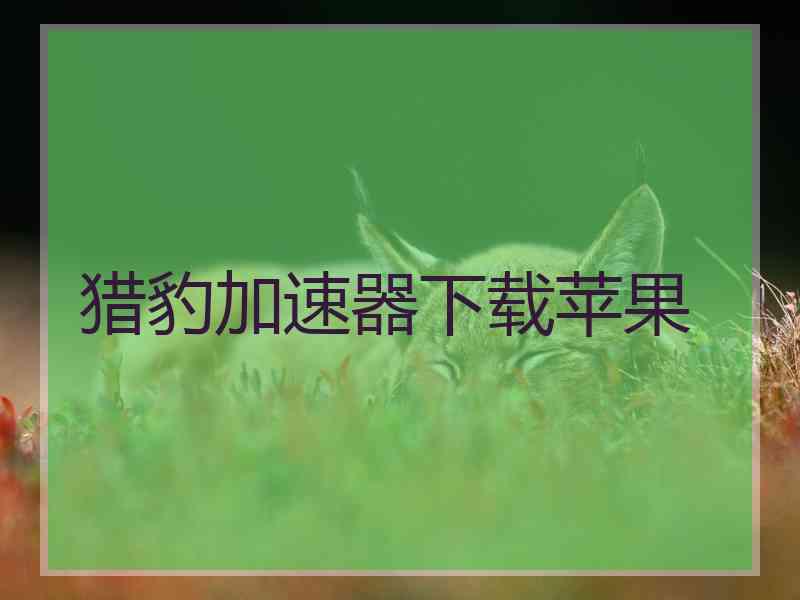 猎豹加速器下载苹果