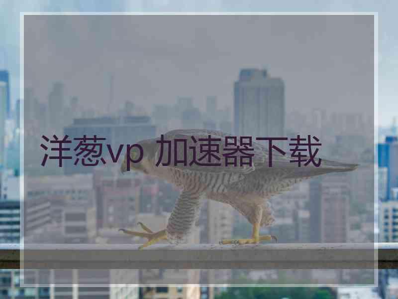 洋葱vp 加速器下载