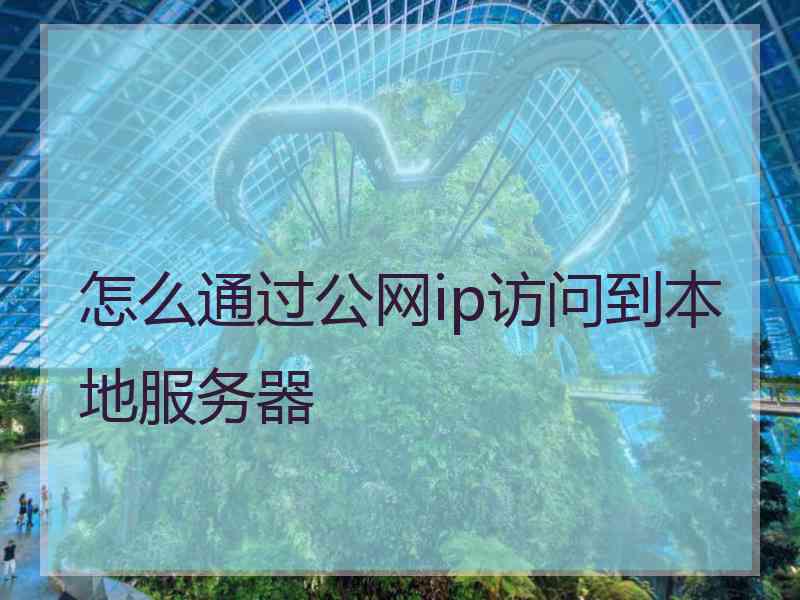 怎么通过公网ip访问到本地服务器