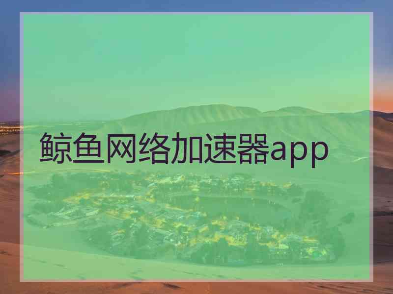 鲸鱼网络加速器app