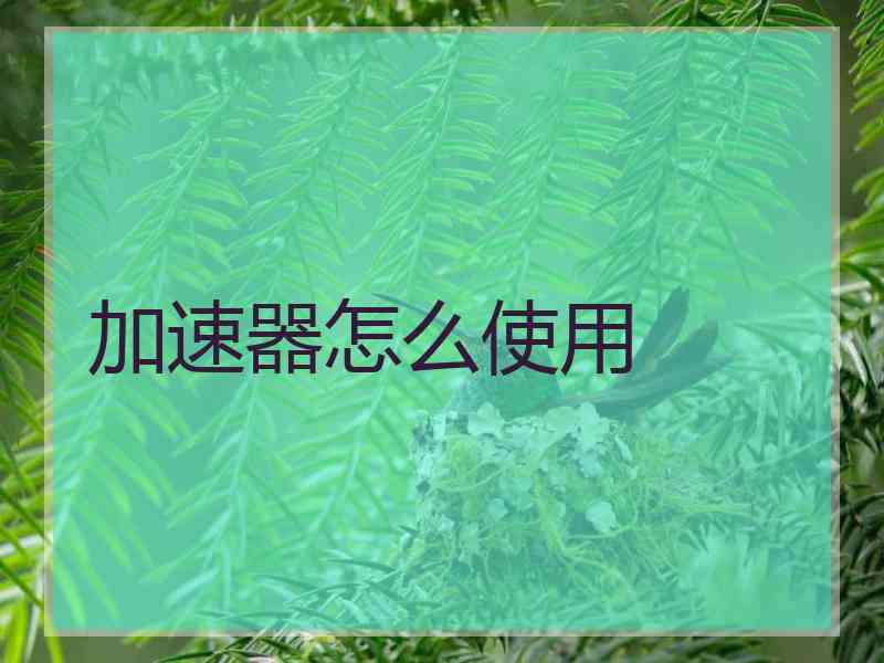 加速器怎么使用