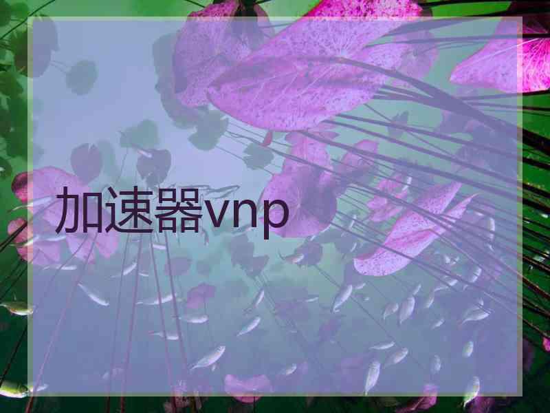 加速器vnp