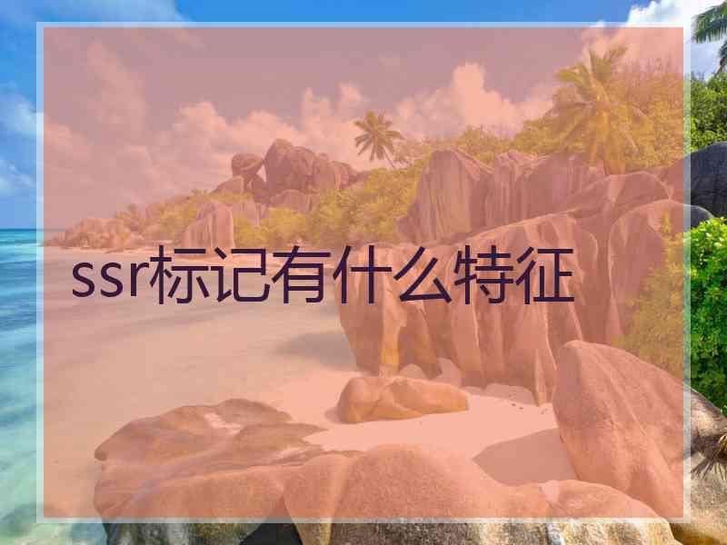 ssr标记有什么特征