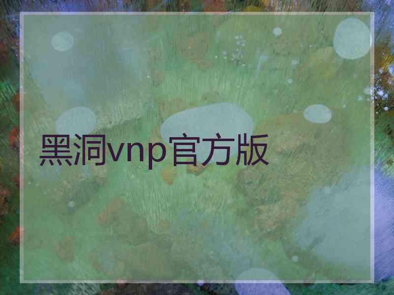 黑洞vnp官方版