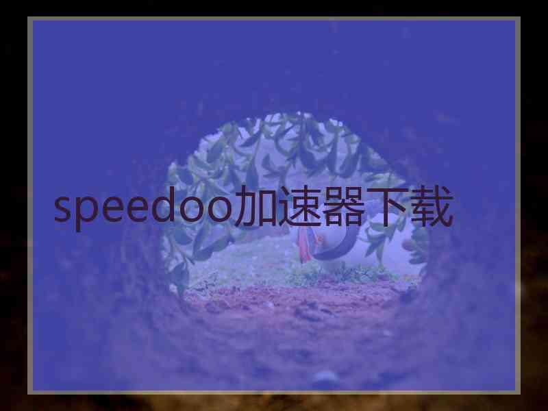 speedoo加速器下载