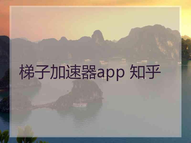 梯子加速器app 知乎