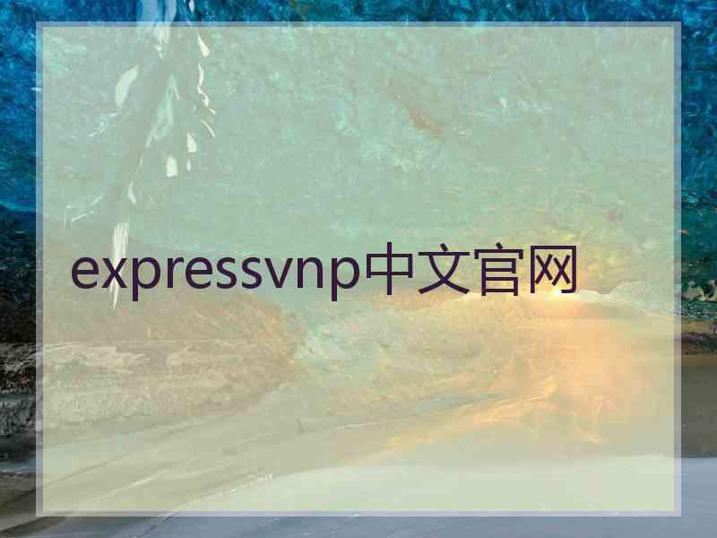 expressvnp中文官网