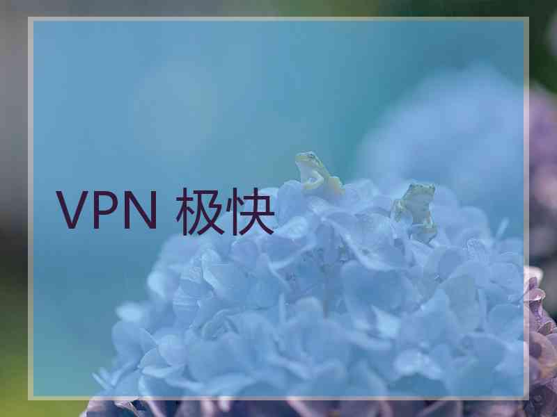 VPN 极快