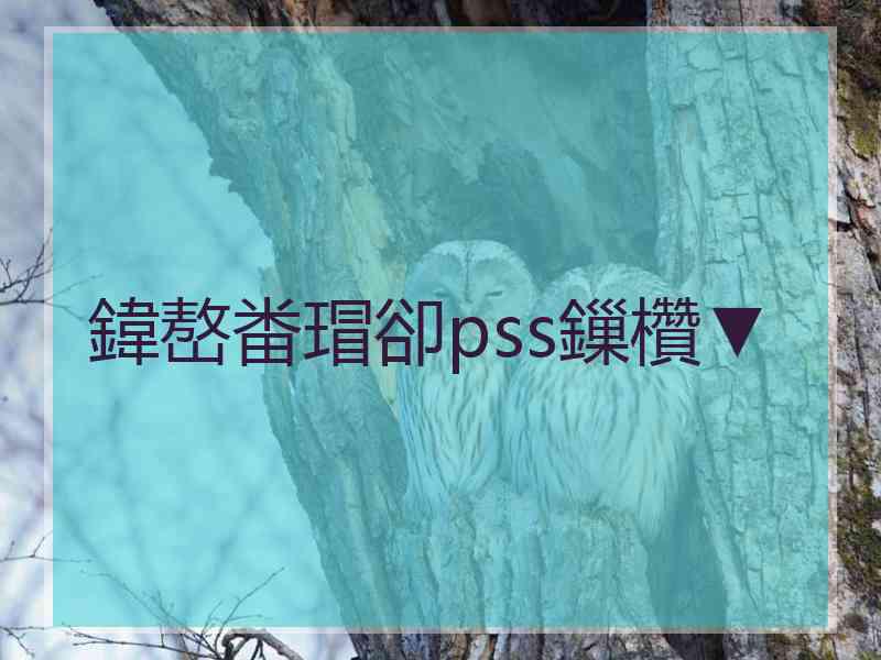 鍏嶅畨瑁卻pss鏁欑▼