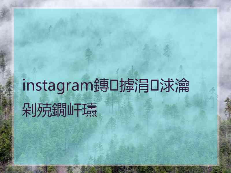 instagram鏄摢涓浗瀹剁殑鐗屽瓙