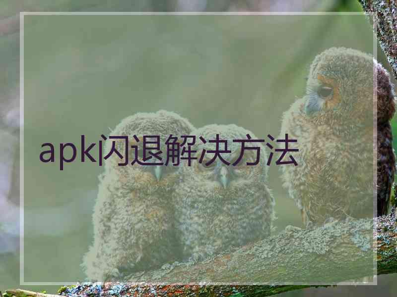 apk闪退解决方法