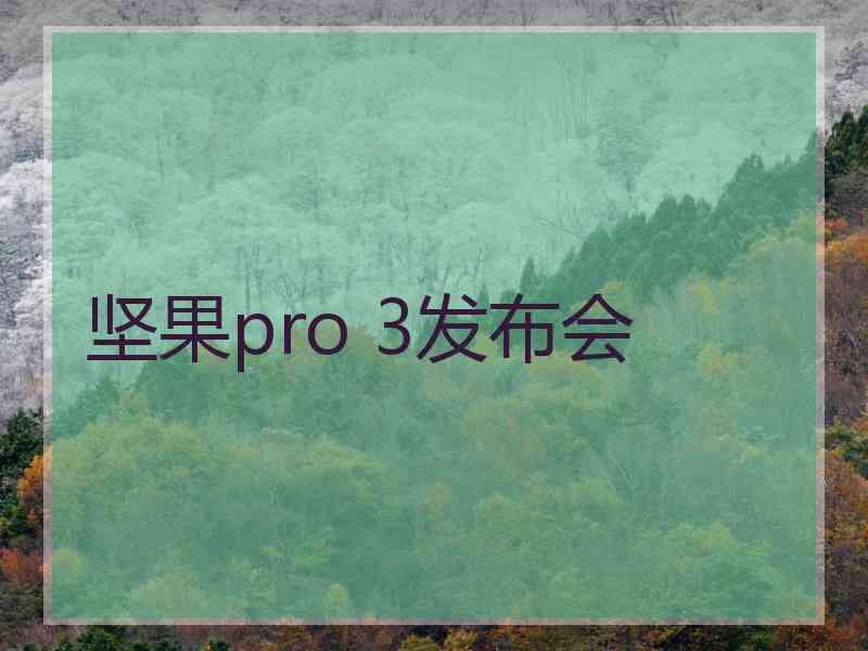 坚果pro 3发布会