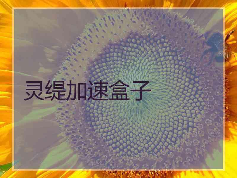 灵缇加速盒子